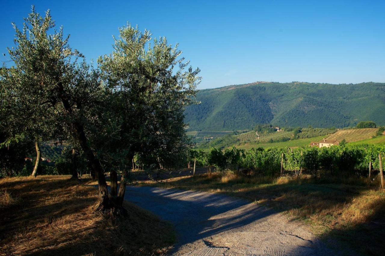 פונטאסייבה I Veroni - Agriturismo And Wine Cellar מראה חיצוני תמונה