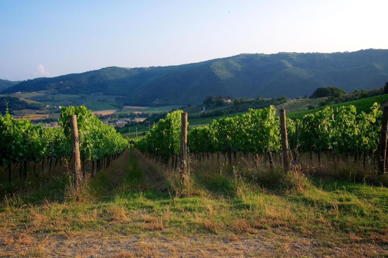 פונטאסייבה I Veroni - Agriturismo And Wine Cellar מראה חיצוני תמונה